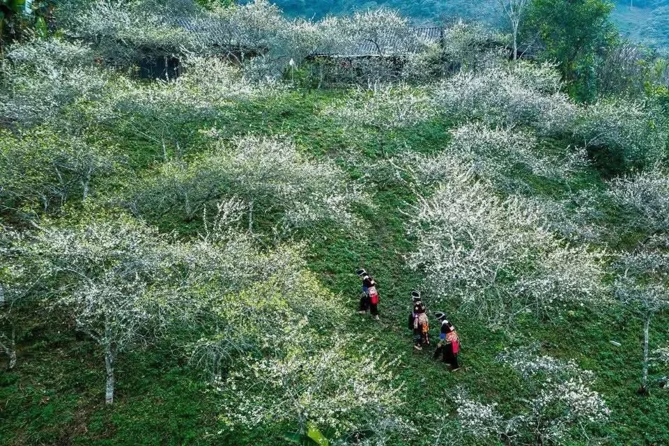 yby5Bupcw5PFXaNnvh968UjmyXgNzaXoA2gzZIC3